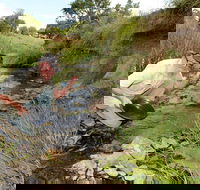 Gold Panning Deep Creek - New South Wales Tourism 