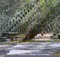 Goonoowigall State Conservation Area - New South Wales Tourism 