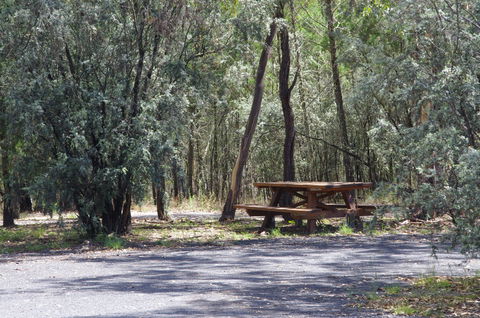 Goonoowigall State Conservation Area - New South Wales Tourism  0
