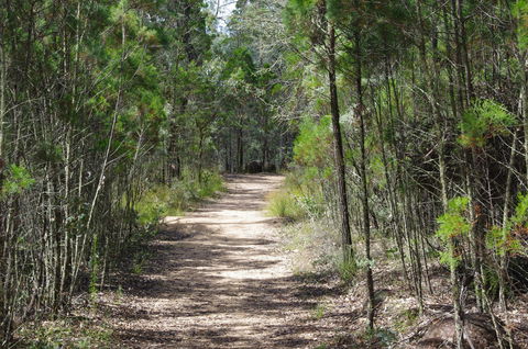 Goonoowigall State Conservation Area - New South Wales Tourism  1