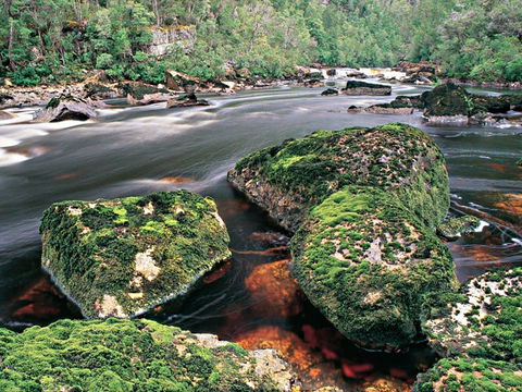 Gordon River - The - New South Wales Tourism  2