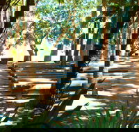 Green Cathedral - New South Wales Tourism 