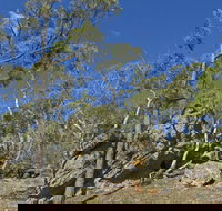 Green track - New South Wales Tourism 