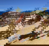 Gundersen Reserve - New South Wales Tourism 