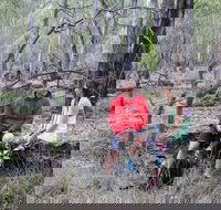 Gunbower Island Forest Drive - New South Wales Tourism 