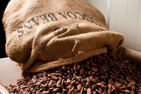 Haigh's Chocolates Visitor Centre - New South Wales Tourism  2