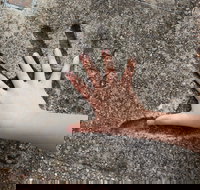 Hands of Fame Park - New South Wales Tourism 