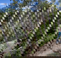 Herring Island Environmental Sculpture Park - New South Wales Tourism 