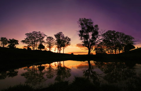Highfields - New South Wales Tourism  0