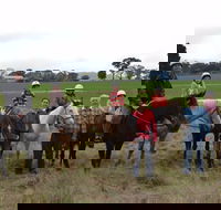 High Country Trail Rides - New South Wales Tourism 