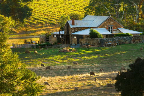 Hutton Vale Farm - New South Wales Tourism  1