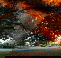 Jubilee Park Mackay - New South Wales Tourism 