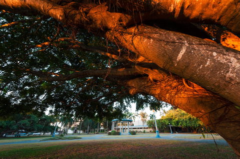 Jubilee Park, Mackay - New South Wales Tourism  0