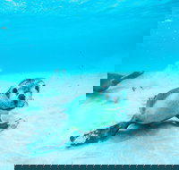 Jurien Bay - New South Wales Tourism 