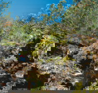 Kroombit Tops National Park