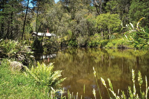 Kurth Kiln Regional Park - New South Wales Tourism  0