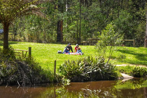 Kurth Kiln Regional Park - New South Wales Tourism  1