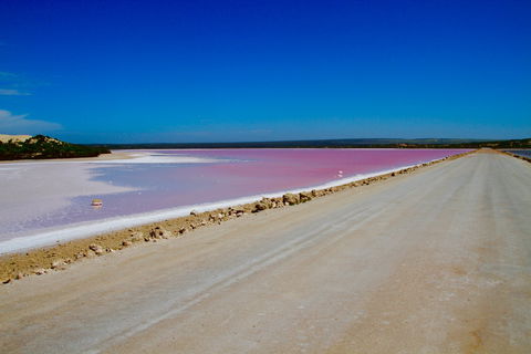 Lake McDonnell - New South Wales Tourism  0