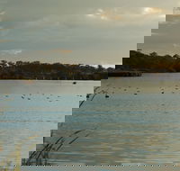 Lake Inverell Reserve - New South Wales Tourism 