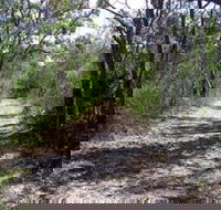 Lanky's Walk - New South Wales Tourism 