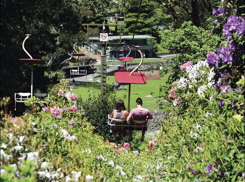 Launceston Gorge Scenic Chairlift - New South Wales Tourism  0