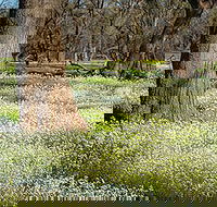 Leaghur State Park - New South Wales Tourism 