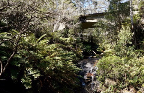 Leura Cascades Picnic Area - New South Wales Tourism  1