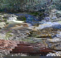 Liffey Falls Reserve - New South Wales Tourism 