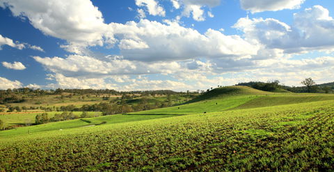 Lions Park, Hodgson Vale - New South Wales Tourism  0