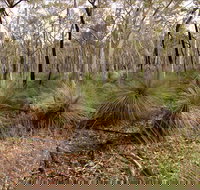 Livingstone National Park - New South Wales Tourism 