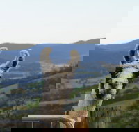 Llama Walks Tasmania - New South Wales Tourism 