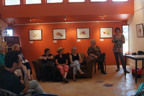 Magpie Springs Gallery - New South Wales Tourism  1