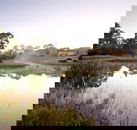 McClelland Sculpture Park  Gallery - New South Wales Tourism 