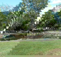 McIntosh Island Park - New South Wales Tourism 