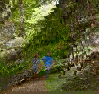 Melba Gully - New South Wales Tourism 