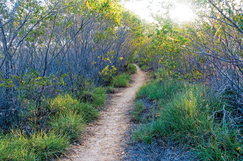 Minerva Hills National Park - New South Wales Tourism  2