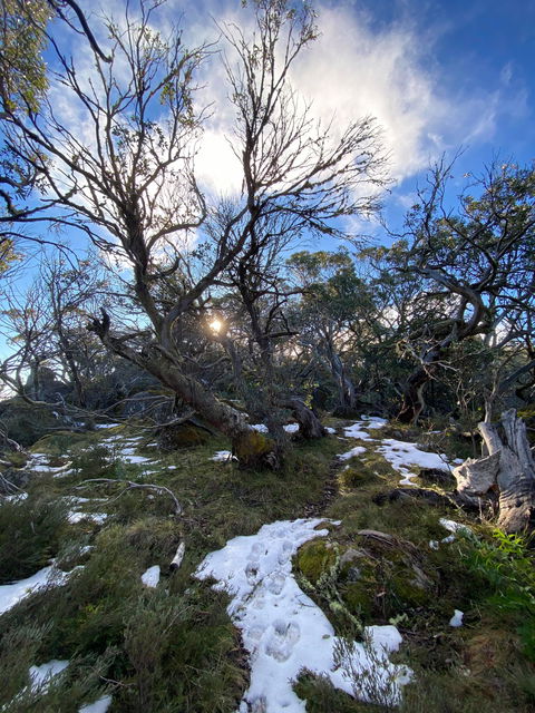 Mount Torbreck Summit Walk - New South Wales Tourism  0