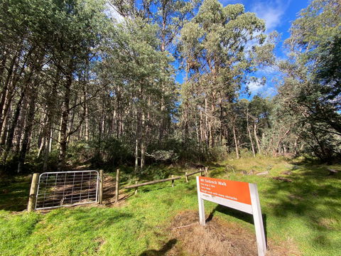 Mount Torbreck Summit Walk - New South Wales Tourism  1