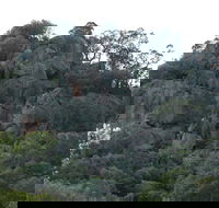 Mount Yarrowyck Nature Reserve - New South Wales Tourism 