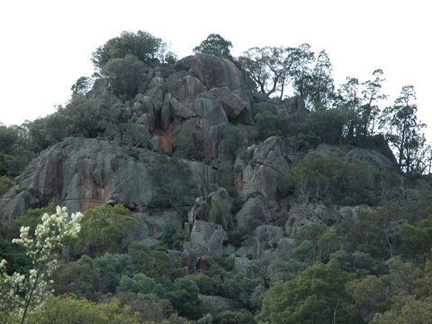 Mount Yarrowyck Nature Reserve - New South Wales Tourism  0