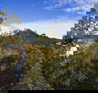 Mount Barney - New South Wales Tourism 