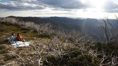 Mount Hotham - New South Wales Tourism  2