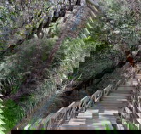 Mulwaree River Walkway - New South Wales Tourism 