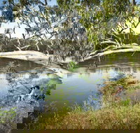 Murray Valley National Park - New South Wales Tourism 