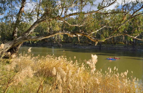 Murrumbidgee Valley National Park - New South Wales Tourism  0