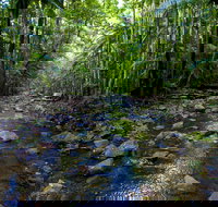 Nambucca Valley - New South Wales Tourism 