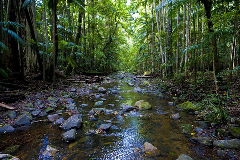 Nambucca Valley - New South Wales Tourism  0