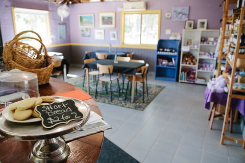Nannup Lavender Farm - New South Wales Tourism  0