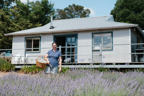 Nannup Lavender Farm - New South Wales Tourism  1