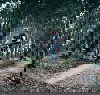 Nerang Mountain Bike Trails - New South Wales Tourism 